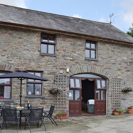 Ty Coch Cottage Dihewid Buitenkant foto